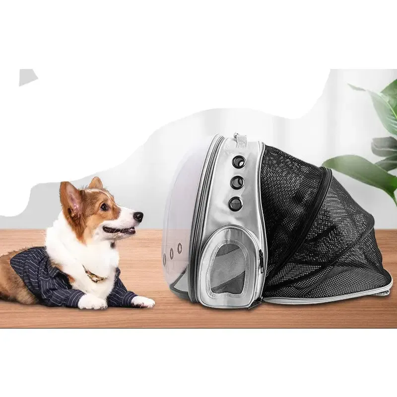 Dogs and Cats Pet Space Expandable Backpacks