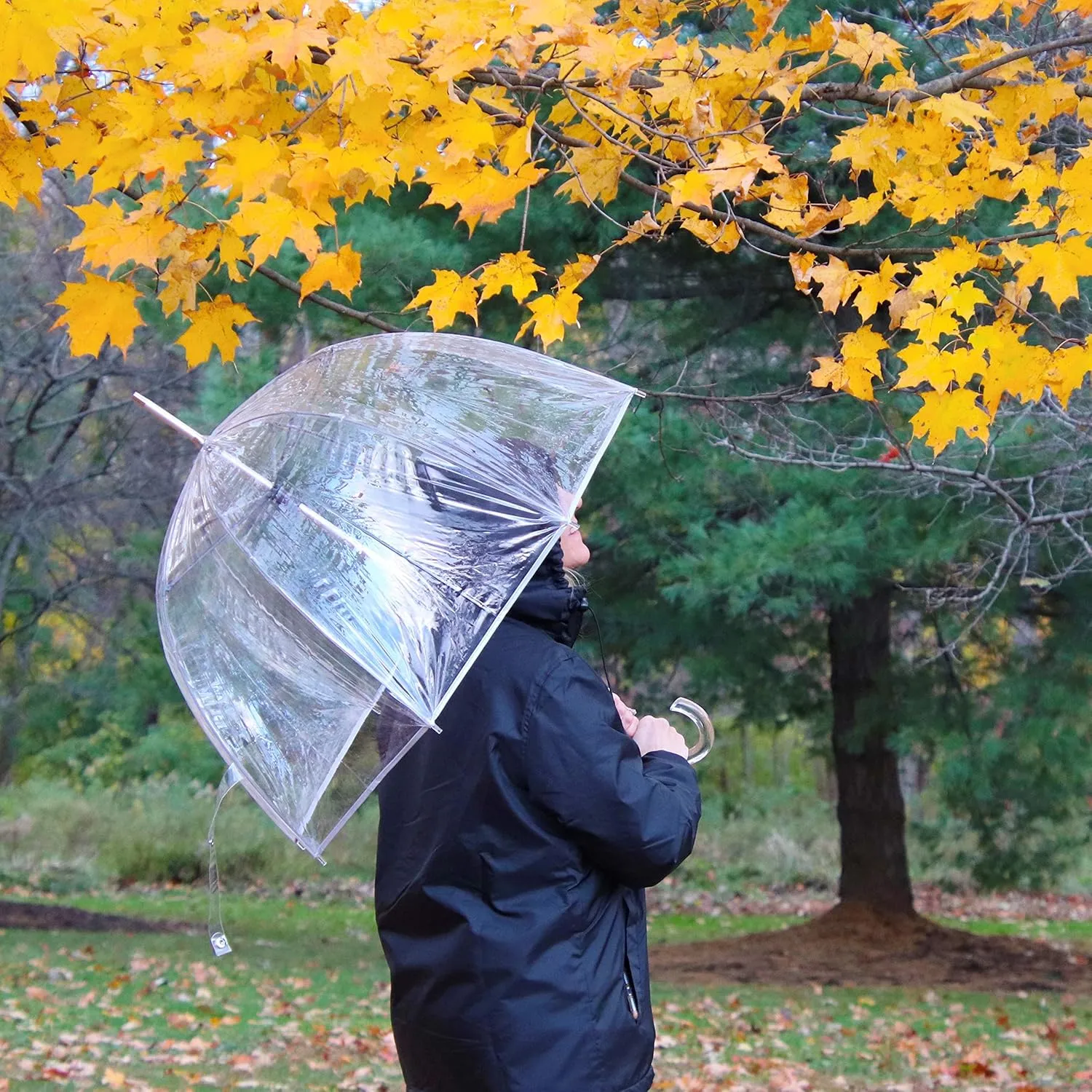 totes Adult Clear Bubble Umbrella with Dome Canopy and Lightweight Wind and Rain Protection